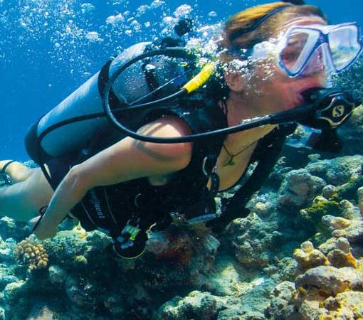 Dive the Great Barrier Reef