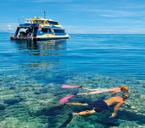 Snorkel the Great Barrier Reef